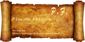 Pinczés Felícia névjegykártya